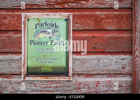 L'exposition de Patch Pioneer Parkside vieux instruments et les véhicules avec des fleurs à Winkler, au Manitoba, Canada. Banque D'Images