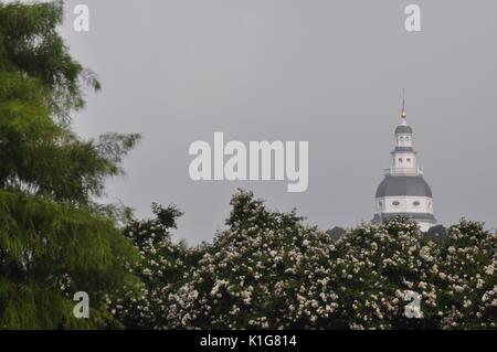 Haut de la Capitol Annapolis sur un matin brumeux Banque D'Images