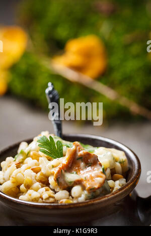 Jaune avec gruau sauce crème de champignons. Banque D'Images