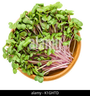 Pousses de radis Rose de Chine à bol en bois. Cotylédons de Raphanus sativus. Les feuilles de radis d'hiver chinois avec la peau de couleur rose. Légume. Microgreen. Banque D'Images