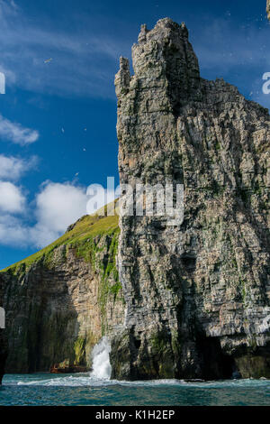 La Norvège, mer de Barents, Svalbard. Bear Island Nature Reserve aka Bjornoya. La partie la plus méridionale du Svalbard. Banque D'Images