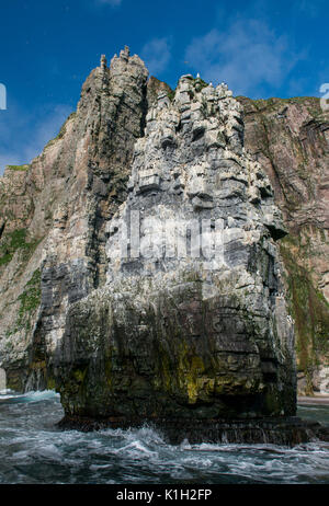 La Norvège, mer de Barents, Svalbard. Bear Island Nature Reserve aka Bjornoya. La partie la plus méridionale du Svalbard. Banque D'Images