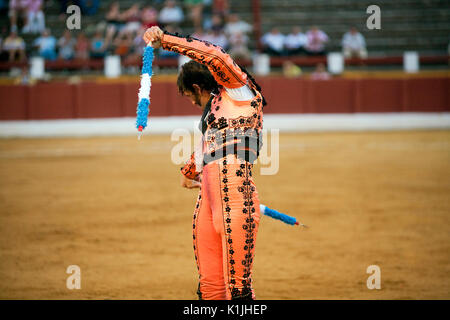 Banderillero, le torero qui, à pied, place les fléchettes dans le taureau, la couleur vive est banderilles fléchettes placé dans le bull Banque D'Images