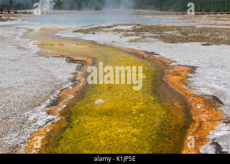 Sentier de soufre jaune de Hot Springs dans le Yellowstone avec les touristes marcher sur la passerelle en arrière-plan Banque D'Images