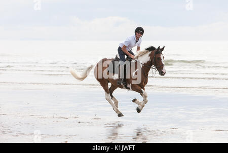 Équitation,chevaux,poneys,en cours,monté,sur,plage,a,Ynyslas,de,Borth,nord,de,Aberystwyth, Ceredigion, pays de Galles, Pays de Galles, Royaume-Uni,Gallois,UK,GB,Europe, Banque D'Images