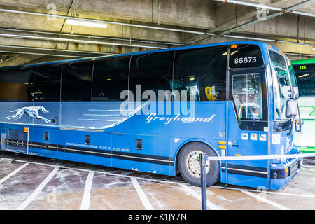 Washington DC, USA - 1 juillet 2017 : l'intérieur de la gare Union parking couvert pour les autobus dans la capitale avec Greyhound sign Banque D'Images