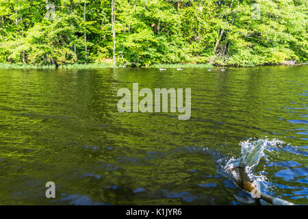 Gros plan du bateau de ligne de pagaie rame déménagement dans l'eau sur le lac vert avec ondulations Banque D'Images