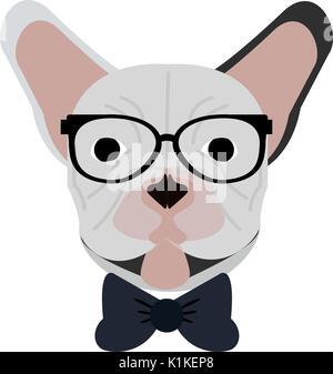 Hipster bouledogue français droit vector illustration design Illustration de Vecteur