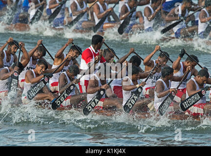L'image d'hommes serpent aviron bateau en bateau Nehru, le jour de la course, Allaepy Punnamda Lake, le Kerala Inde Banque D'Images