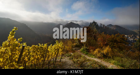 Vue depuis la route du vin rouge des ruines du château sont et Altenahr, Ahrgebirge, Eifel, Rhénanie-Palatinat, Allemagne Banque D'Images