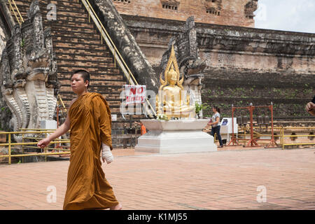 Les moines bouddhistes au Wat Chedi Luang, Banque D'Images