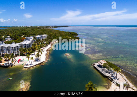 Floride,Florida Keys,Upper,Islamorada,Whale Harbour,Océan Atlantique,Pelican Cove Resort,front de mer,Wintley Key,vue aérienne au-dessus,FL17081835D Banque D'Images