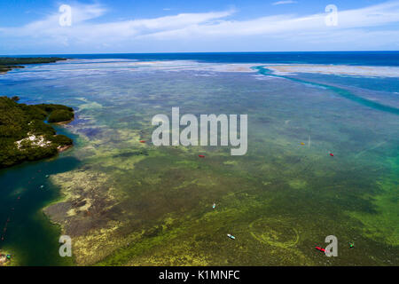 Floride,Florida Keys,Upper,Islamorada,Whale Harbour,Océan Atlantique,Wintley Key,vue aérienne au-dessus,FL17081839D Banque D'Images