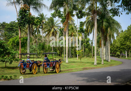 Java, Indonésie - Apr 15, 2016. Les charrettes à cheval en attente à Temple de Borobudur sur l'île de Java en Indonésie. Le Borobodur complexe est l'un des plus grands monuments de Banque D'Images