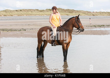 Équitation,chevaux,poneys,en cours,monté,sur,plage,a,Ynyslas,de,Borth,nord,de,Aberystwyth, Ceredigion, pays de Galles, Pays de Galles, Royaume-Uni,Gallois,UK,GB,Europe, Banque D'Images