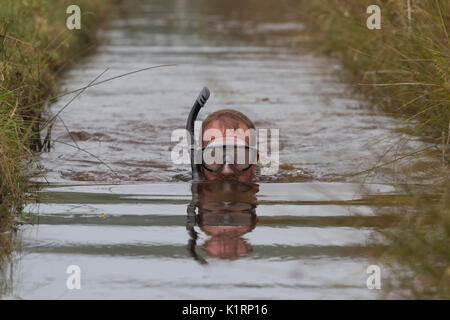 Les concurrents sont en 2017 aux Championnats du monde Bogsnorkeling à Waen Rhydd bog près de Llanwrtyd Wells. Banque D'Images