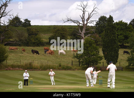 À l'embargo le lundi 28 août 0001 Un match se joue au Newtown Linford Cricket Club le samedi 12 août 2017. Banque D'Images