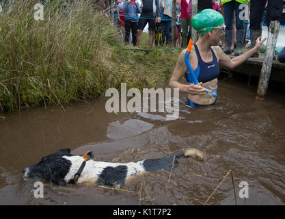 Angela Johnson et son chien Jack prendre part au 32e Championnat du Monde de plongée à Tourbière Waen Rhydd tourbière de Llanwrtyd Wells, le Pays de Galles. Banque D'Images