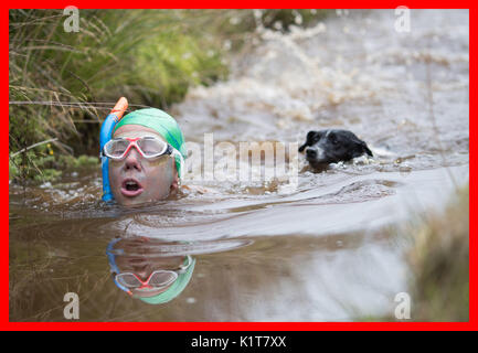 PABest Angela Johnson et son chien Jack prendre part au 32e Championnat du Monde de plongée à Tourbière Waen Rhydd tourbière de Llanwrtyd Wells, le Pays de Galles. Banque D'Images