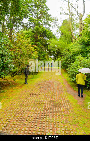 Sentier pavées menant à l'île de Garnish tour Martelo Irlande Bantry Banque D'Images