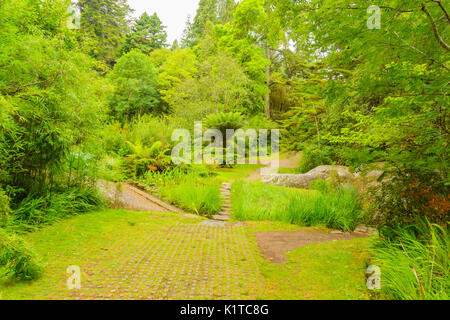 Sentier pavées menant à l'île de Garnish tour Martelo Irlande Bantry Banque D'Images