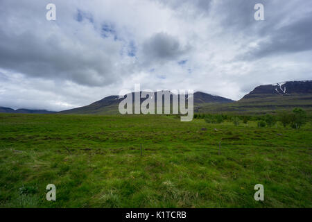Islande - Snowy Mountain tops derrière des champs verts et des arbres dans les nuages de pluie Banque D'Images