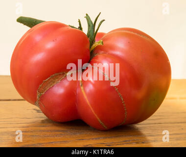 Un grand tomates,Brandy Patrimoine Vin, grandir dans une forme pliée Banque D'Images