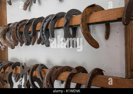 Fers accroché au mur dans les écuries de l'état des forêts Corp centre de sélection Equestrian, salet, Parc National des Dolomites de Belluno, de Monti Banque D'Images