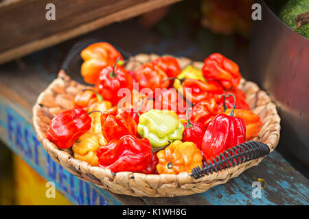 Scotch Bonnet. Bonney, des Caraïbes les poivrons. Bahama Mama. Chaud jamaïcaine. Bahaméen. Martinique le poivre. Les légumes dans le panier de l'affichage de rue pour le chinois F Banque D'Images