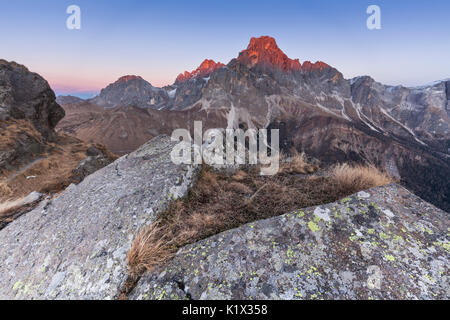 L'Europe, Italie, Trentin-Haut-Adige. Alpenglow sur l'Cimon della Pala, Bureloni et mont Mulaz, vues du Cavallazza Piccola, Lagorai Banque D'Images