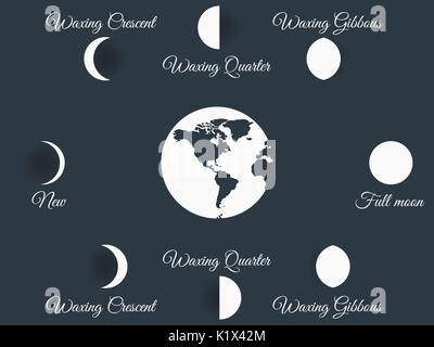 Les phases de la lune. L'ensemble du cycle à partir de la nouvelle lune à la pleine. Vector illustration. Illustration de Vecteur