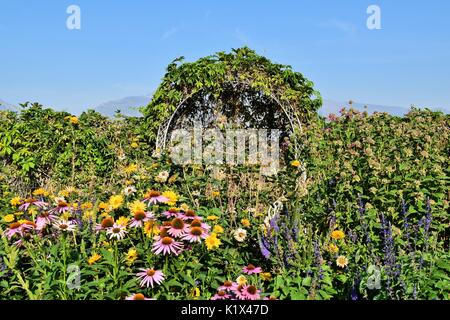 Arche blanche avec des fleurs autour d'elle et vignes sur elle Banque D'Images