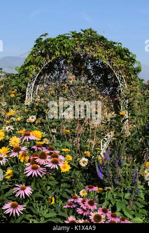 Arche blanche avec des fleurs autour d'elle et vignes sur elle Banque D'Images