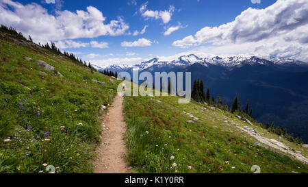 Sentier de randonnée sur Blackcomb Mountain, Whistler, British Columbia, Canada Banque D'Images