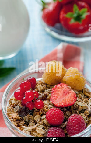 Les céréales de petit-déjeuner sain muesli avec des fruits et des baies fraises, framboises et groseilles rouges avec les produits laitiers. Focus sélectif. Banque D'Images