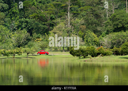 Un classique rouge lumineux VW Coccinelle Volkswagen garée dans un endroit hors de l'établissement d'un parc tropical au bord d'un lac, Kuala Lumpur, Malaisie. Banque D'Images