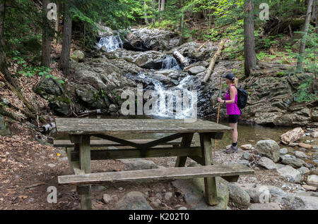 Cascades le long sentier du ruisseau Stag dans sur le mont Whiteface à Wilmington NY Banque D'Images