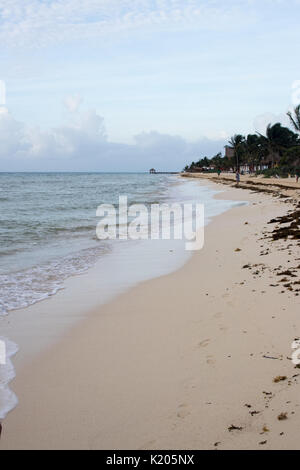 Plage des Caraïbes avec jetée sur horizon, palmiers au bord et empreintes de pas dans le sable humide. Banque D'Images