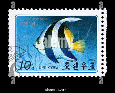 Timbre-poste de Corée Nrth représentant une pennant coralfish (Heniochus acuminatus) Banque D'Images