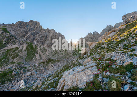 Pour Fuchskarspitze Balkenspitzen, Ascension, Allgäu, Hochalpen Allgäu, Bavière, Allemagne Banque D'Images