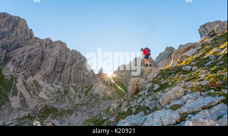 Lors de l'ascension, randonneur, Fuchskarspitze Balkenspitzen Hochalpen, Allgäu, Allgäu, Bavière, Allemagne Banque D'Images