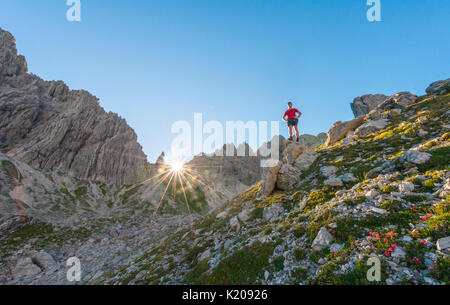 Lors de l'ascension, randonneur, Fuchskarspitze Balkenspitzen Hochalpen, Allgäu, Allgäu, Bavière, Allemagne Banque D'Images