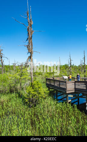 Texas, orange, bleu, l'accès promenade Marais coude de Texas Travel Information Centre, direction ouest I-10, sortie 880 Banque D'Images