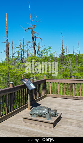 Texas, Orange, Bleu Swamp coude boardwalk, sculpture en bronze de Alligator Tortue serpentine (Macrochelys temminckii) Banque D'Images