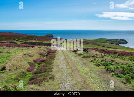 Route sur Calf of Man, personnes marchant au loin, vue panoramique sur la baie Banque D'Images