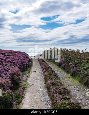 Route de boue au mollet de l'homme, vue sur mer et phare de roche de poulet Banque D'Images