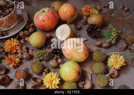 Avec les glands de chêne brun sec feuilles et fleurs, des pommes de pins et juteuses pommes rose Banque D'Images