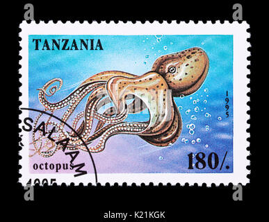 Timbre de Tanzanie représentant un poulpe. Banque D'Images