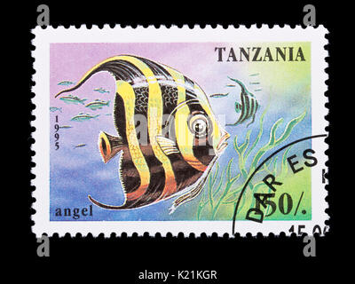 Timbre de Tanzanie représentant un poissons-anges. Banque D'Images