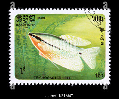 Timbre-poste du Cambodge (Kampuchea) représentant un gourami perlé (Trichopodus leerii) Banque D'Images